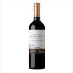 VINO CASTILLO DE MOLINA 750ML CABERNET SAUVIGNON