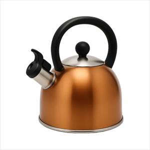 TETERA ACERO INIX 2.5L CAPRI